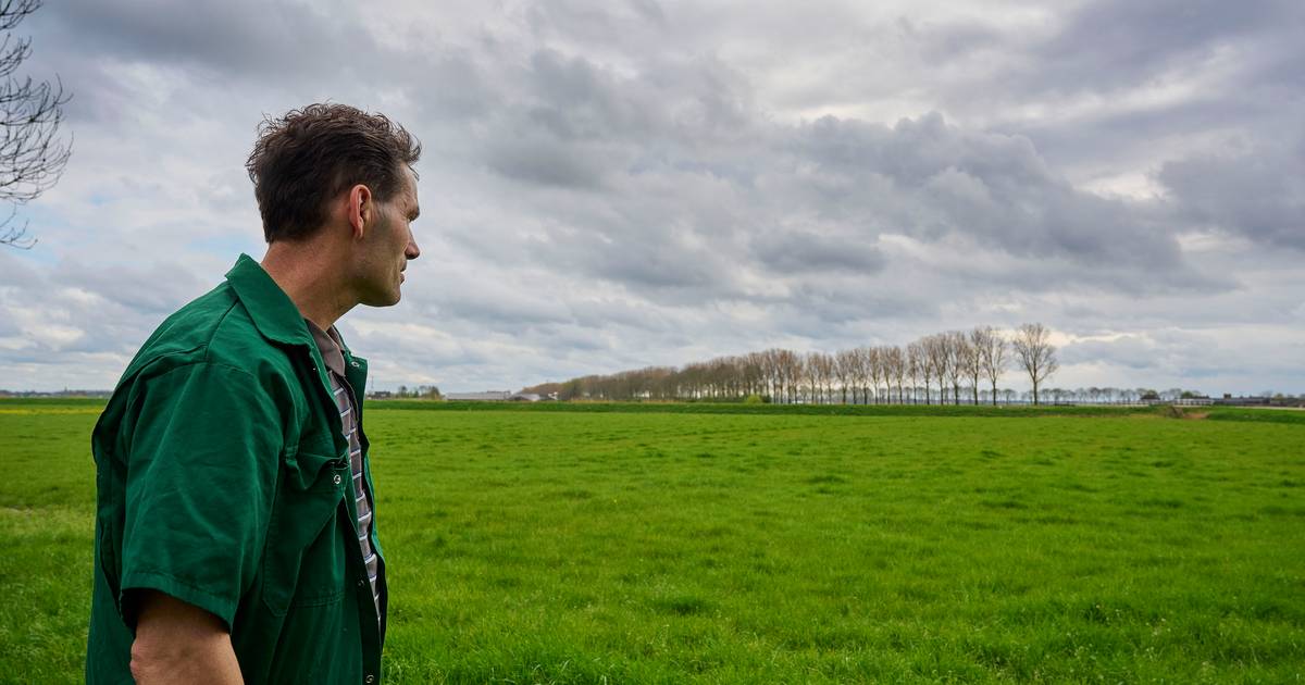 Deze boer vecht tegen windmolens in polder: ‘Voedselveiligheid in geding’