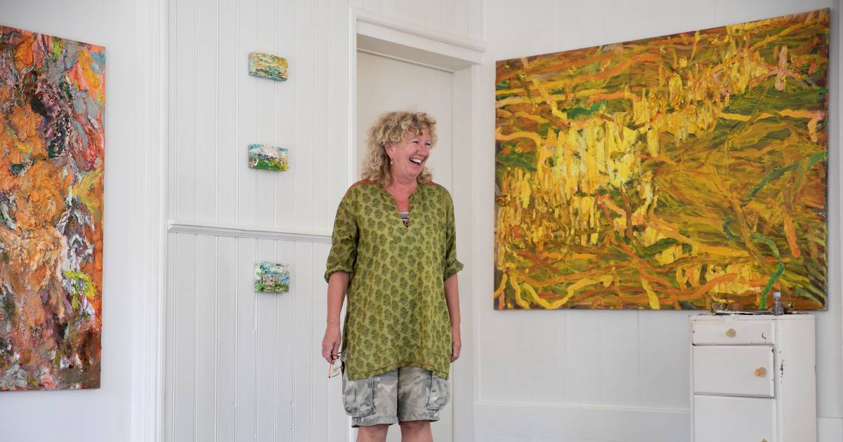 Geen kunstenaarsdorp, nee een heel kunstenaarseiland wil Marie-José Robben van Schouwen-Duiveland ma