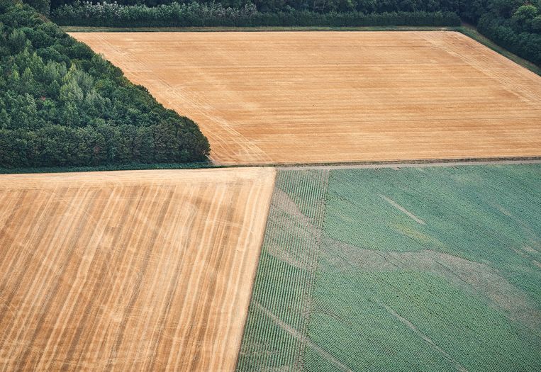Door de droogte zijn de contouren van het oude landschap beter te zien. Beeld Phil Nijhuis
