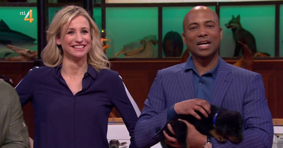 rtl boulevard verbreekt stilzwijgen over tan stax show gelderlander nl