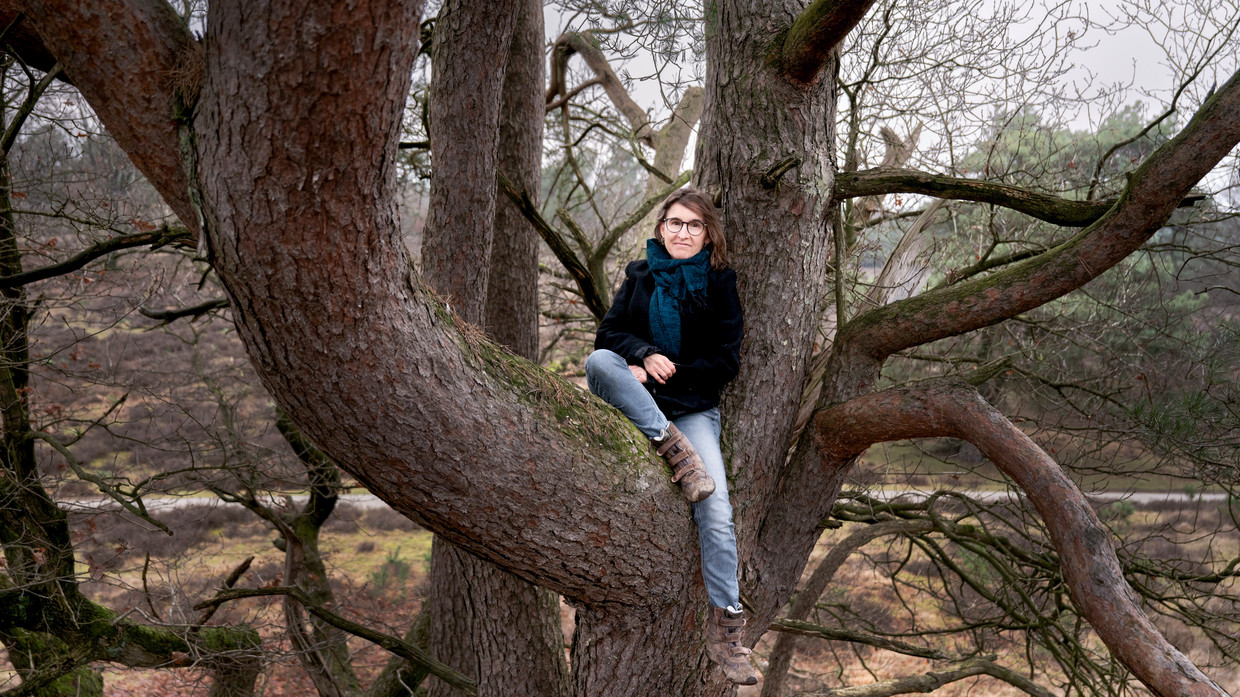 Verena Böttcher heeft weer een klimboom gevonden.