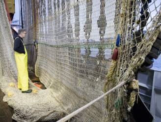 OPINIE: "Als we zo voortdoen, zal er tegen 2050 meer plastic dan vis te vinden zijn in de zee"