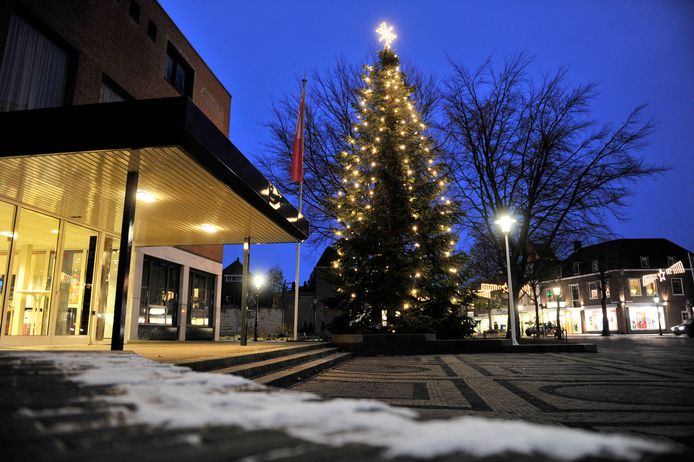 De kerstboom voor 't Lossers Hoes