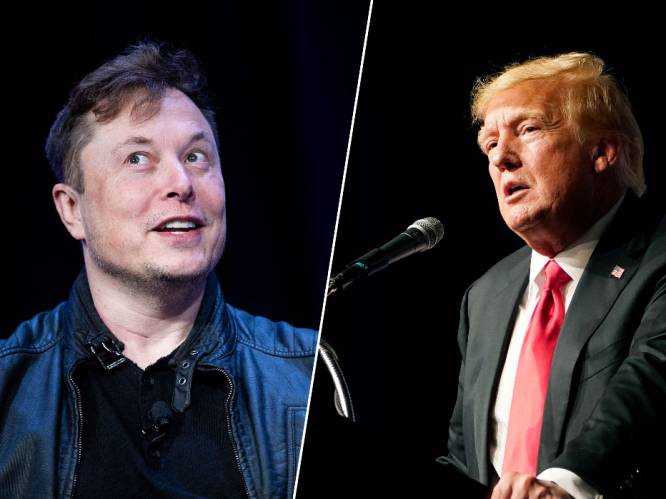 Donald Trump overweegt Elon Musk als adviseur in mogelijke toekomstige regering