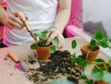 Plantenliefhebbers opgelet: hier in Deventer ruil je dit weekend stekjes