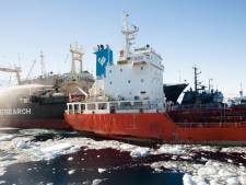Un baleinier japonais fonce sur des bateaux de Sea Shepherd