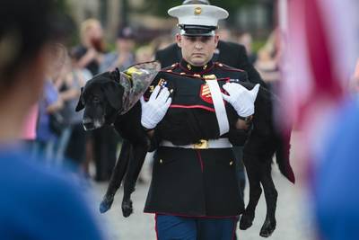 Amerikaanse legerhond krijgt officiële militaire begrafenis