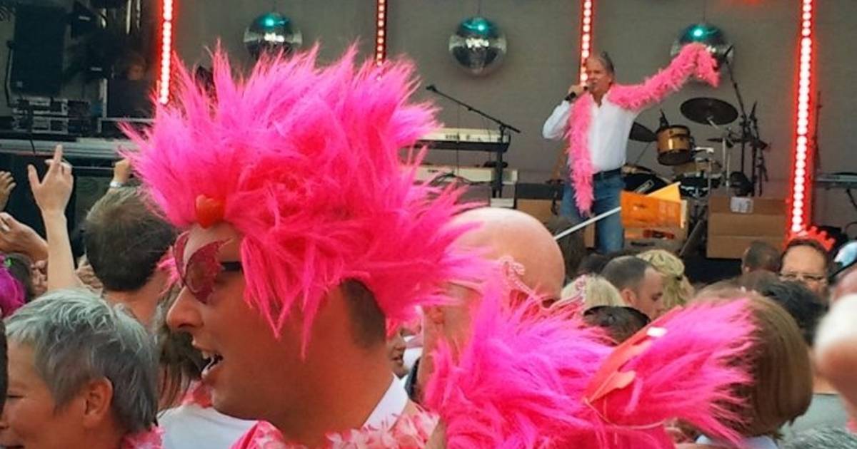 Surrey een paar hoogtepunt Roze carnaval met Dries Roelvink | Overig | gelderlander.nl