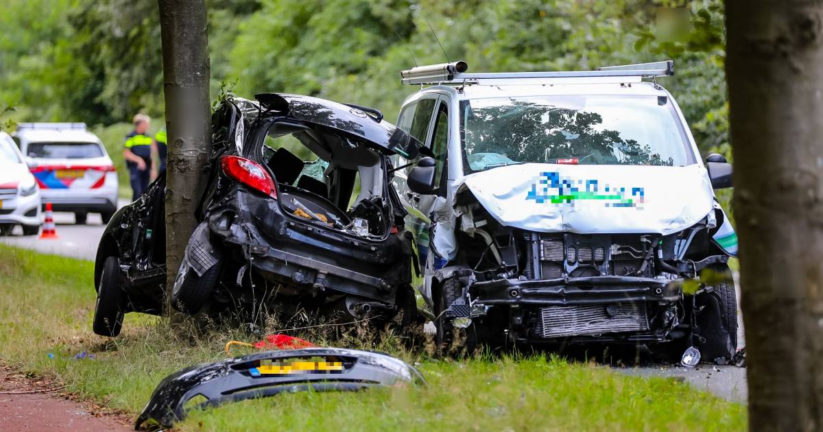 Vrouw uit Putten ernstig gewond door botsing met bestelbus in Harderwijk.