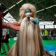 Alles voor de show: 'Ik ben 80 uur per week aan de honden kwijt'