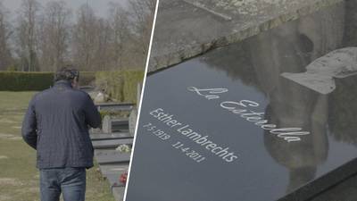 Axel Daeseleire emotioneel op begraafplaats Schoonselhof: “Dit komt wel even binnen”