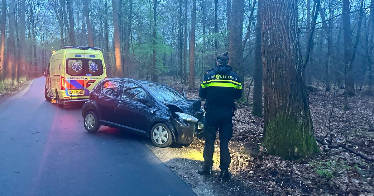 Automobilist gewond bij botsing tegen boom in Ermelo.