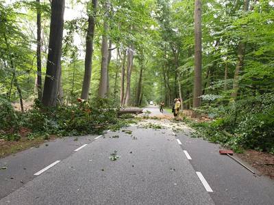 Boom knapt af door windvlaag, Bornsestraat richting Delden dicht