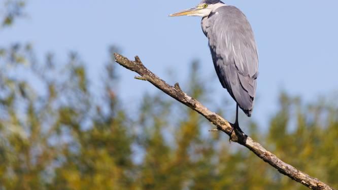 Nu het weer vroeg donker is keert de rust terug in de opvang
