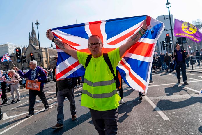 Een pro-Brexit demonstrant houdt eerder vanmiddag de Britse vlag omhoog in Londen, vlakbij het Britse parlement.