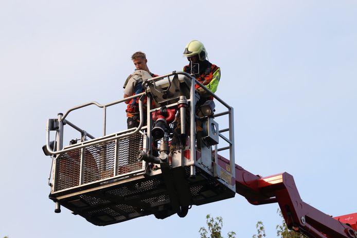 De brandweer schoot met een hoogwerker te hulp om de ara uit de boom te bevrijden.