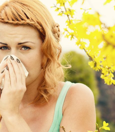 Evolution Cancer Du Nez Chez Le Chat Allergique aux chats, elle trouve la solution pour en accueillir un