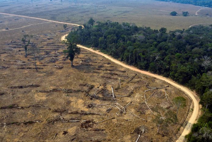 Afgelopen maand werd in het Amazonewoud een gebied van 1.358 vierkante kilometer ontbost.