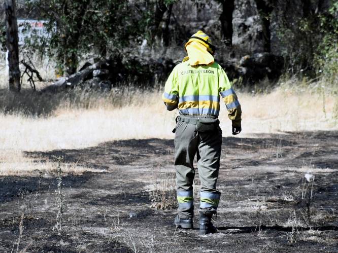 Frankrijk en Spanje zetten zich schrap voor bosbranden: “Het is hier kurkdroog”