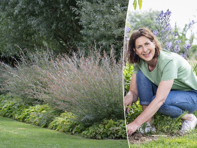 Zo vang je elke regendruppel op met een buienborder: “je hoeft niet meer dan 15 tot 20 cm aarde uit te graven”