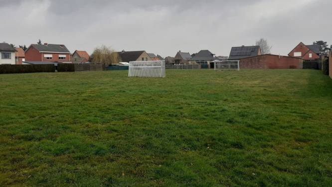 Polyvalent grasveld in Bosvelden moet natuurlijke inrichting krijgen