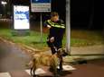 Politie redt alleen achtergelaten hond: eten, drinken en uitlaatbeurt zijn all in 