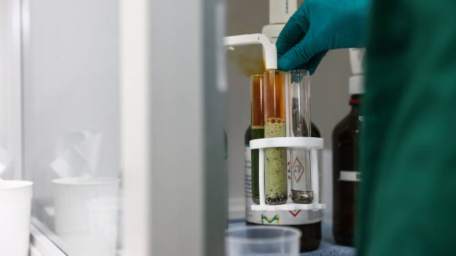 Plus de 17.000 sites européens contaminés aux polluants “éternels” PFAS: “2.100 à des niveaux dangereux”