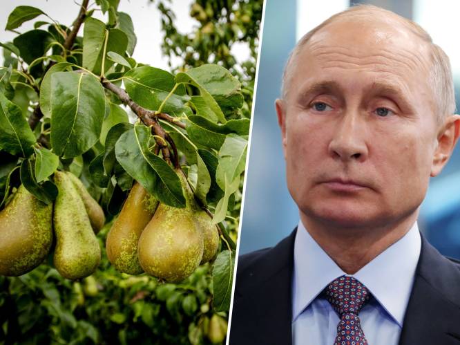 Belgische fruitbedrijven omzeilen voedselsancties Poetin: “Perensmokkel levert 240 miljoen euro op”