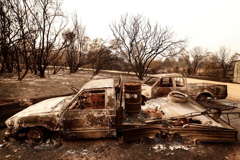 Het vuur verwoest alles, van natuur tot auto's. Beeld Getty Images