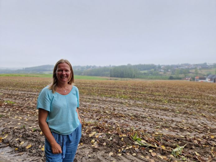 Stad Zottegem stelt landbouw aan na extreme regenval