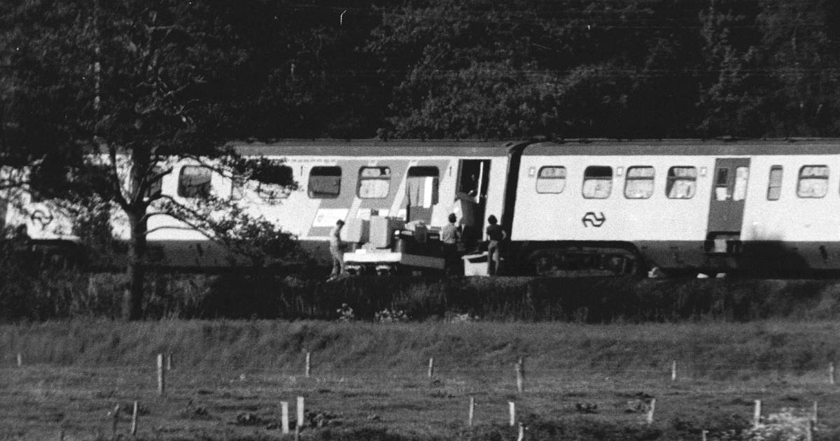 Molukse treinkaping Marinier '2D' schoot op 'menselijke beweging' Binnenland AD.nl