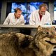 De wolf krijgt in Nederland beschermde status