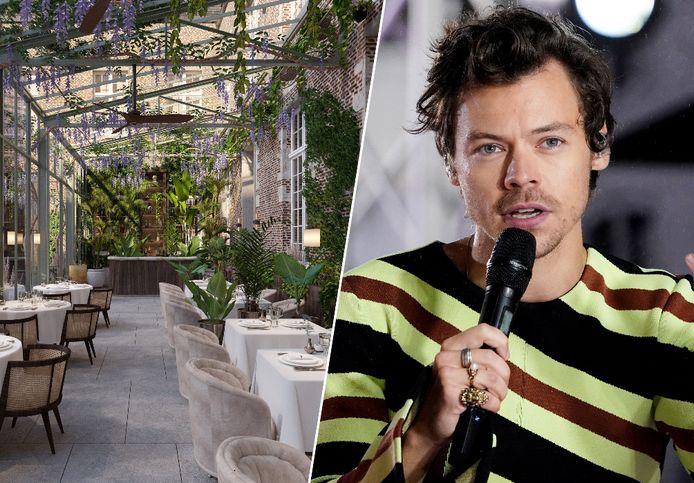 Harry Styles verblijft in Antwerpen in het Botanic Sanctaury Antwerp