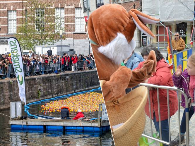 Wat te doen in het Waasland en Dendermonde dit lang Paasweekend: van badeendjesrace in Dendermonde tot klokjesworp in Lokeren