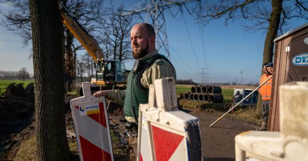 Foutje, bedankt: twee eeuwenoude eiken op Landgoed Hemmen illegaal gekapt - De Gelderlander