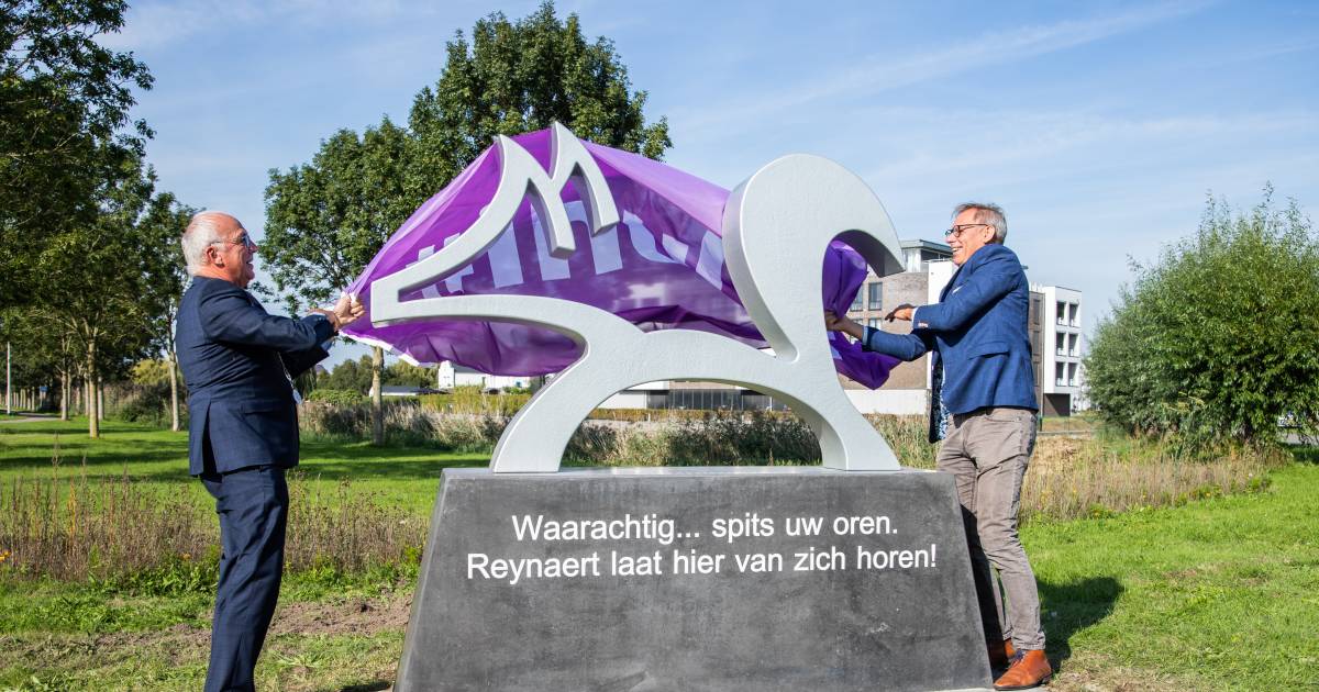Hulst heeft nu vossenkunstwerk aan stadsentree (met de neus naar de goeie kant) - BN DeStem
