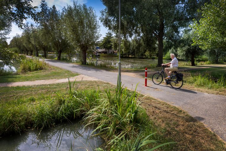 null Beeld Werry Crone