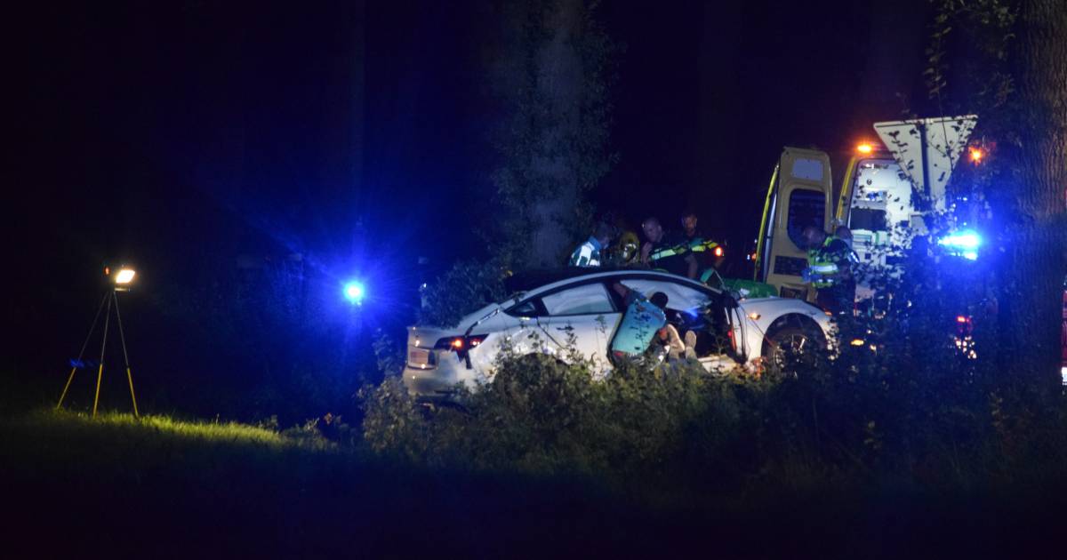 Dode en zwaargewonde bij botsing auto tegen boom bij Silvolde.
