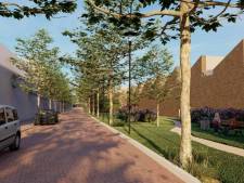 Goedkope woningen blijven in Oisterwijk boven de markt hangen, maar niet langs de Baerdijk