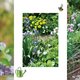 Tuinkalender: deze klusjes kun je in mei in de tuin doen