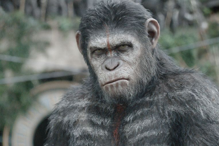 PLANET OF THE APES Beeld Disney+