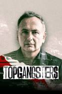 boxcover van Topgangsters
