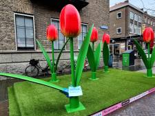 Vrolijke bloemen in Enschedese binnenstad al vernield voor start van de lente: ‘Opzettelijk ’s nachts kapot gemaakt’