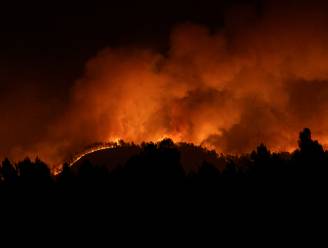 Eerste grote bosbrand van het jaar in Spanje: bijna 4.000 hectare verwoest