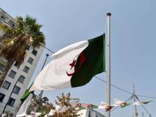 nouvelles arrestations en algerie apres le lynchage d un artiste brule vif monde 7sur7 be