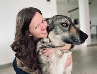 
Annelies (33) kreeg letterlijk grijze (wenkbrauw)haren nadat ze straathond Bito redde: “Ik wilde nog méér doen, maar toen zei mijn lichaam ‘stop’”