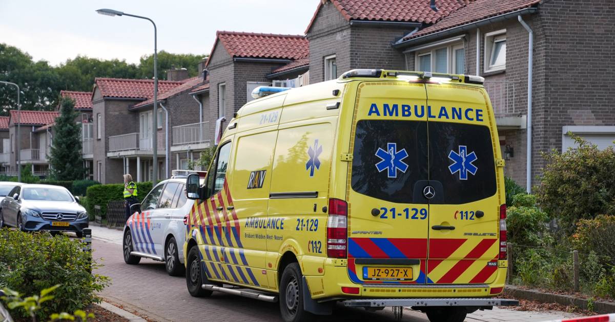 Man gewond bij steekpartij in Oss, vrouw aangehouden.