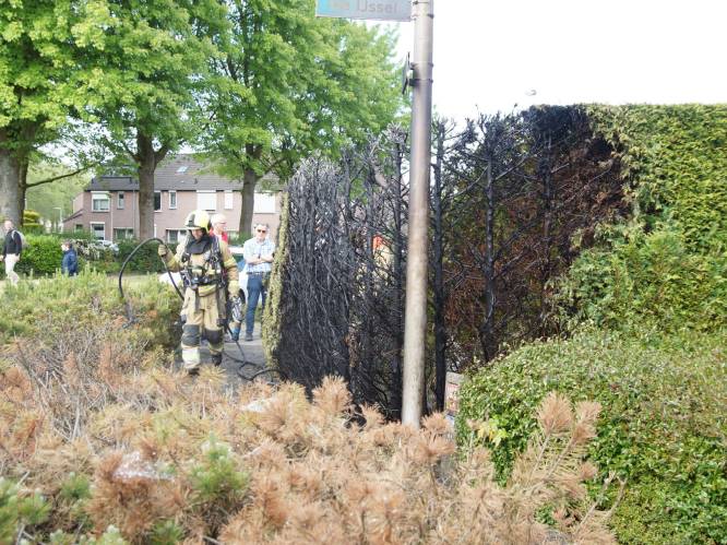 Coniferenhaag in voortuin deels afgebrand in Drunen