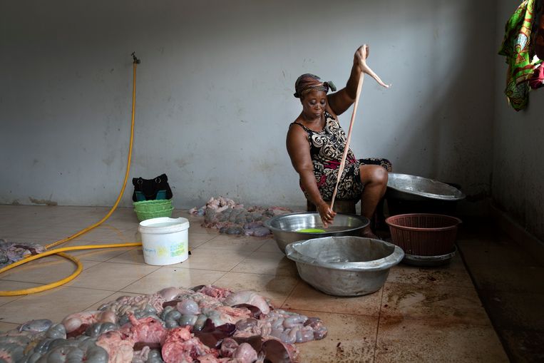Het schoonmaken van varkensingewanden bij Gbawe Pig Abattoir. Dit slachthuis werd deels gefinancierd met een eenmalige EU-subsidie, maar door de massale export van goedkoper vlees vanuit Europa kan dit slachthuis onvoldoende inkomsten genereren. Om kosten te besparen slacht men handmatig, onder zeer primitieve omstandigheden. Beeld Ton Toemen