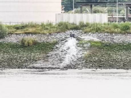 Pollution à Zwijndrecht: enquête sur la présence de PFAS dans toutes les eaux souterraines en Flandre